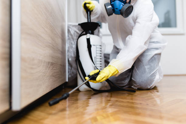 Best Pest Removal Services  in Davis, CA