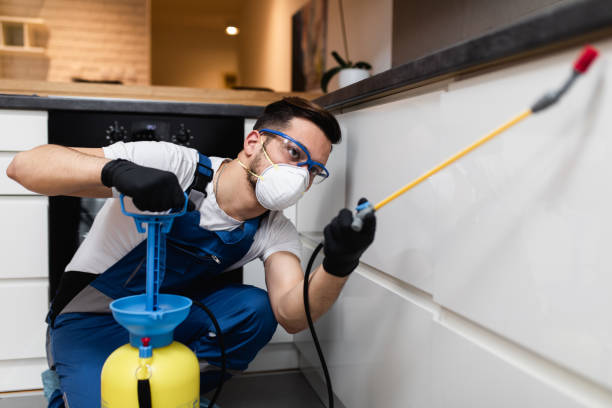 Best Flea Control Services  in Davis, CA