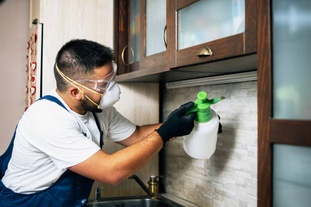 Best Rat Extermination Near Me  in Davis, CA