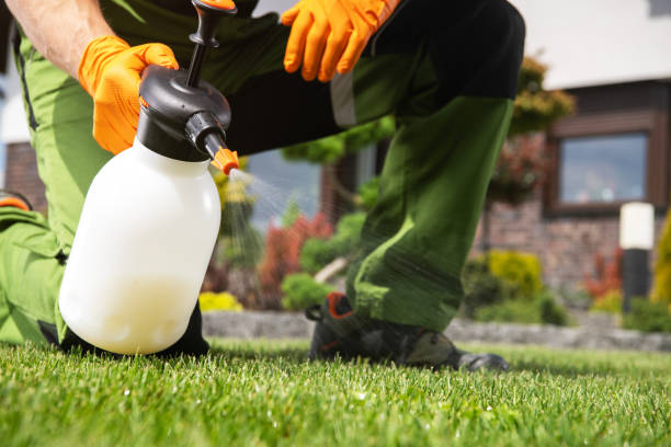 Wildlife Control Services in Davis, CA