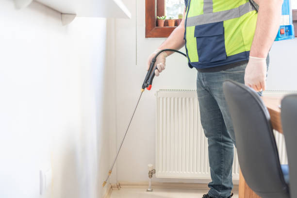 Best Wasp Removal Services  in Davis, CA