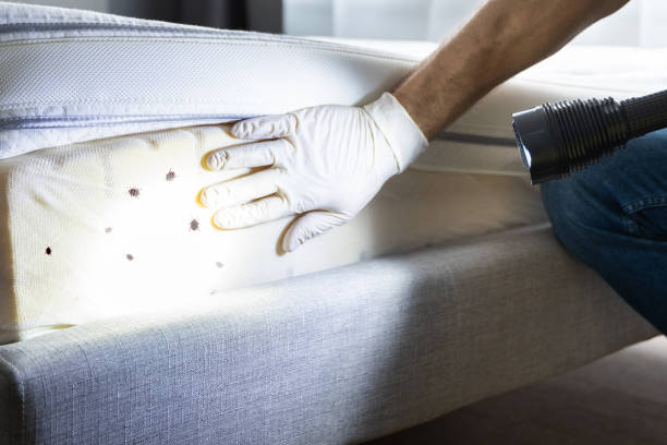 Best Best Pest Control Companies  in Davis, CA