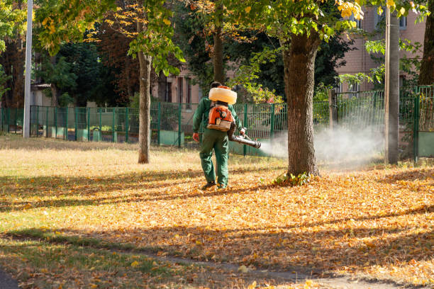 Best Cockroach Control Services  in Davis, CA