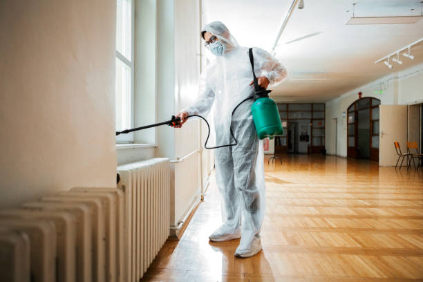 Best Local Pest Control Services  in Davis, CA
