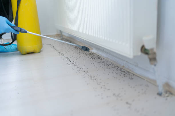 Best Pest Control for Businesses  in Davis, CA