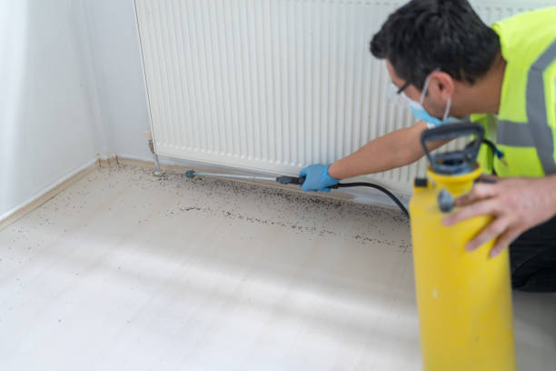 Best Cockroach Control Services  in Davis, CA